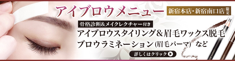 新宿南口店限定 アイブロウメニュー 骨格診断＆メイクレクチャー付き アイブロウスタイリング＆眉毛ワックス脱毛 ブロウラミネーション(眉毛パーマ)など