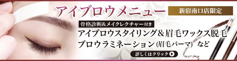 新宿南口店限定 アイブロウメニュー 骨格診断＆メイクレクチャー付き アイブロウスタイリング＆眉毛ワックス脱毛 ブロウラミネーション(眉毛パーマ)など