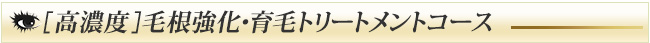 【高濃度】毛根強化・育毛トリートメントコース